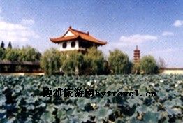 连泗荡公园