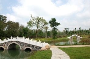 洪泽湖森林公园