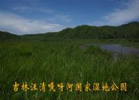 吉林汪清嘎呀河国家湿地公园