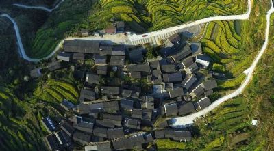 红色茶山风景区