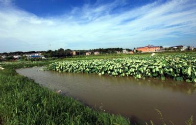 梁湖都市农庄