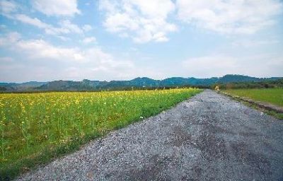 顺昌县来布水利风景区