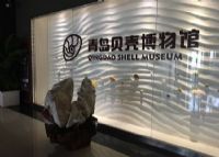 青岛贝壳博物馆