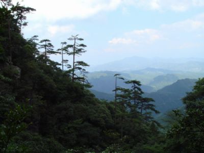 浦城县高坊水库水利风景区