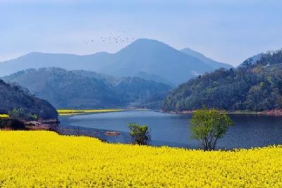 荆门仙居河国家湿地公园