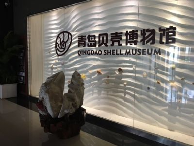青岛贝壳博物馆