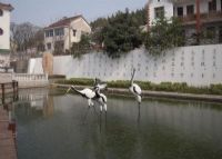 南京锁石村生态园