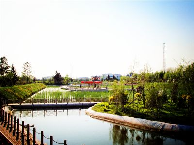 青冈靖河国家湿地公园