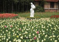 南京中山植物园