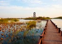 禹王湿地公园