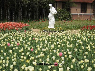 南京中山植物园