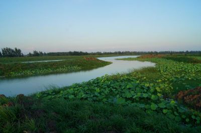朱湖湿地生态公园