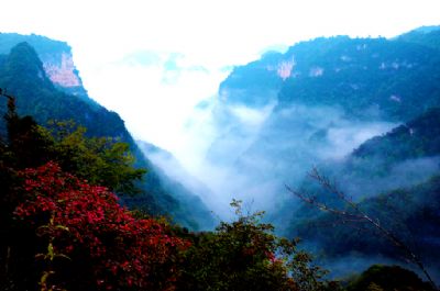 三峡芝兰谷景区