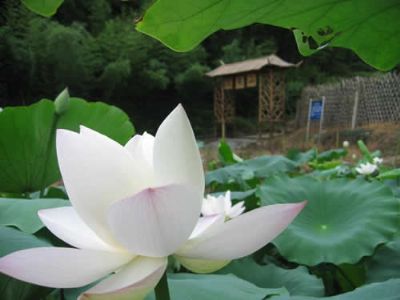 杭州山沟沟景区