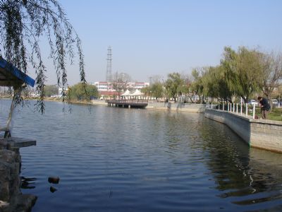 柳疃镇