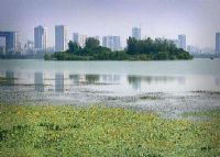 蠡湖渤公岛生态公园
