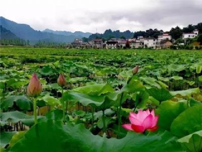 秀丽潭头景区