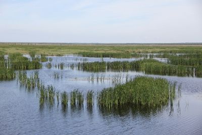 明水湿地自然保护区