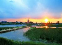 九龙口湿地水利风景区