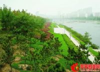 钢城大汶河国家湿地公园