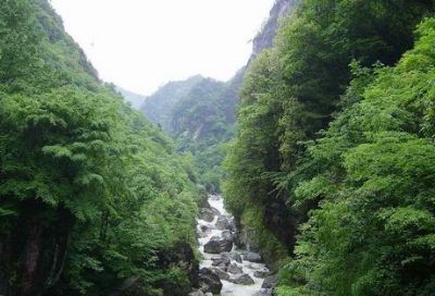 神雕山野生动物自然保护区