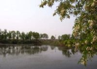 河口蓬莱公园