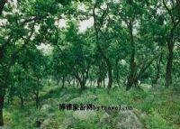 大青山自然保护区