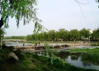 山东沂水国家湿地公园