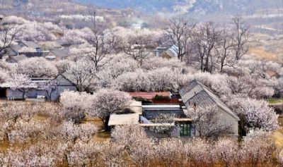 文登市界石镇三瓣石村