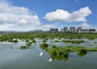 沂沭河国家湿地公园