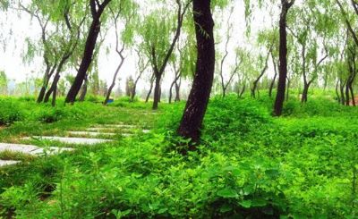 北京朝来森林公园